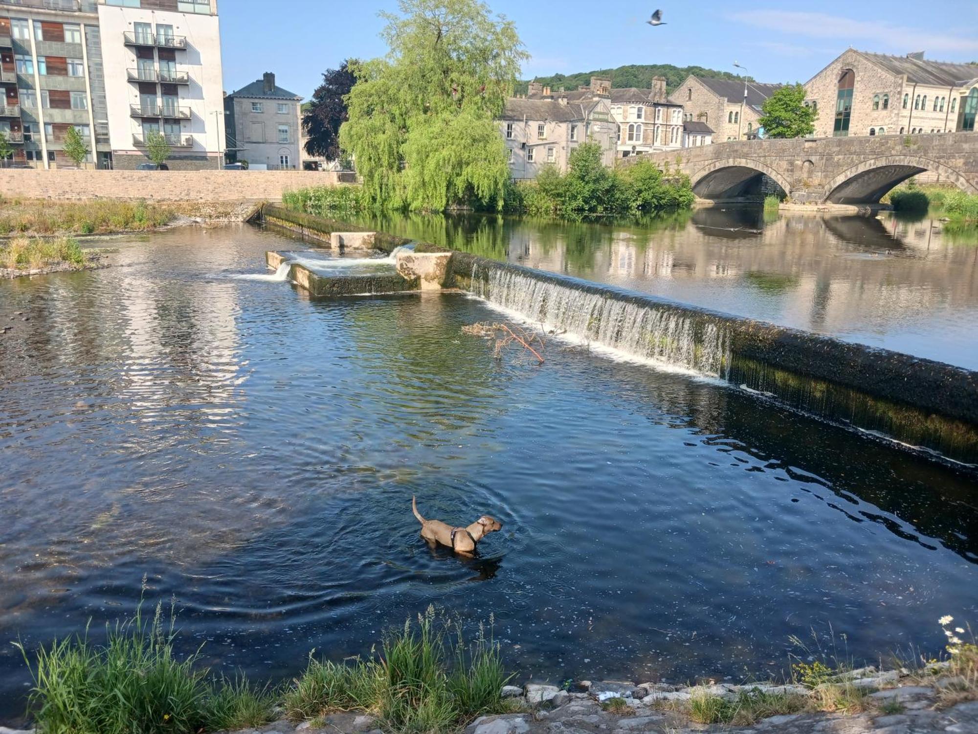 Arthurs Cottage -Charming Courtyard Cottage In The Heart Of Kendal, The Lake District Esterno foto
